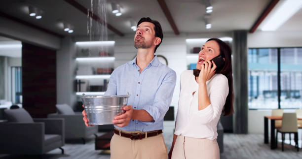 Best 24/7 water damage repair  in Greensburg, IN
