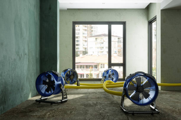 Best Sewage cleanup and water damage restoration  in Greensburg, IN