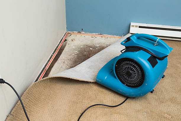 Best Flooded house restoration  in Greensburg, IN